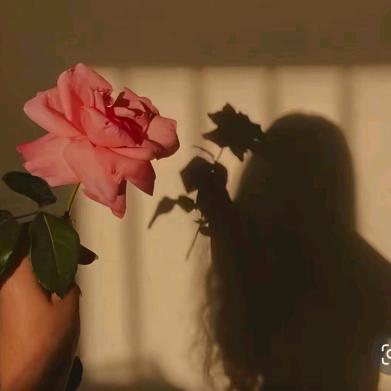 ᭄²⁰25冣乂伱(๑•ี_เ•ี๑)