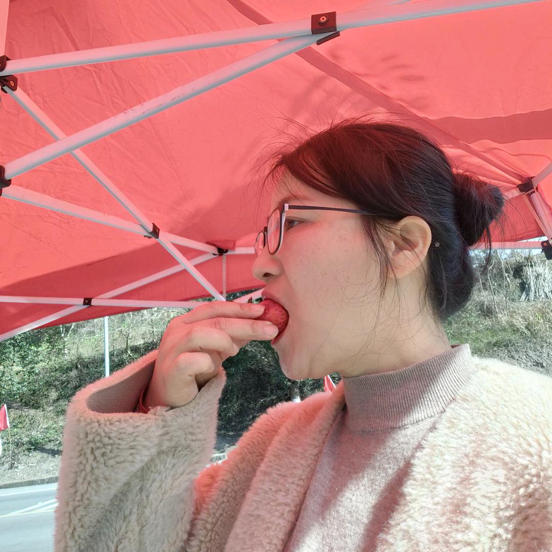 伍姐草莓采摘园