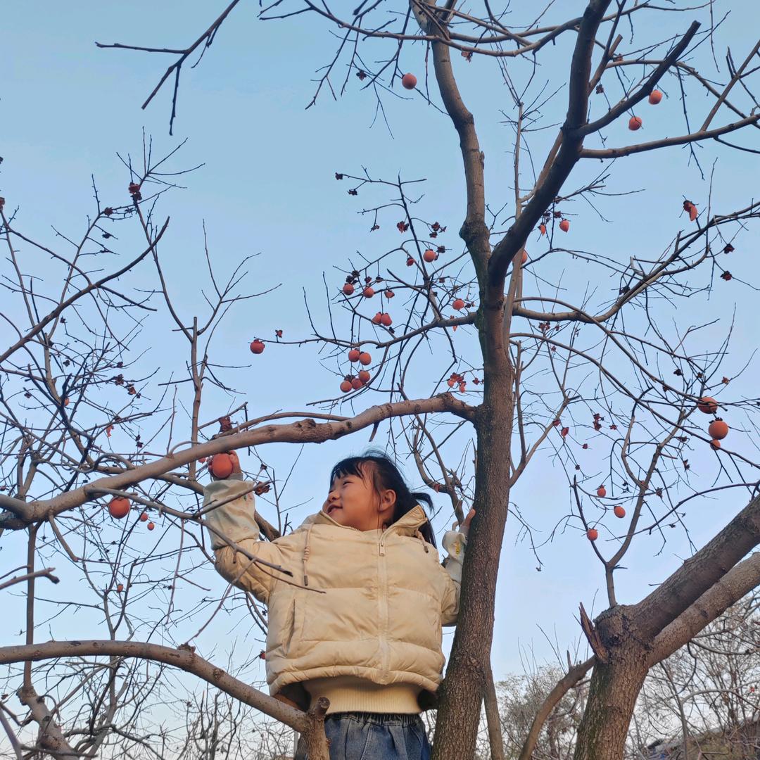 小柿人