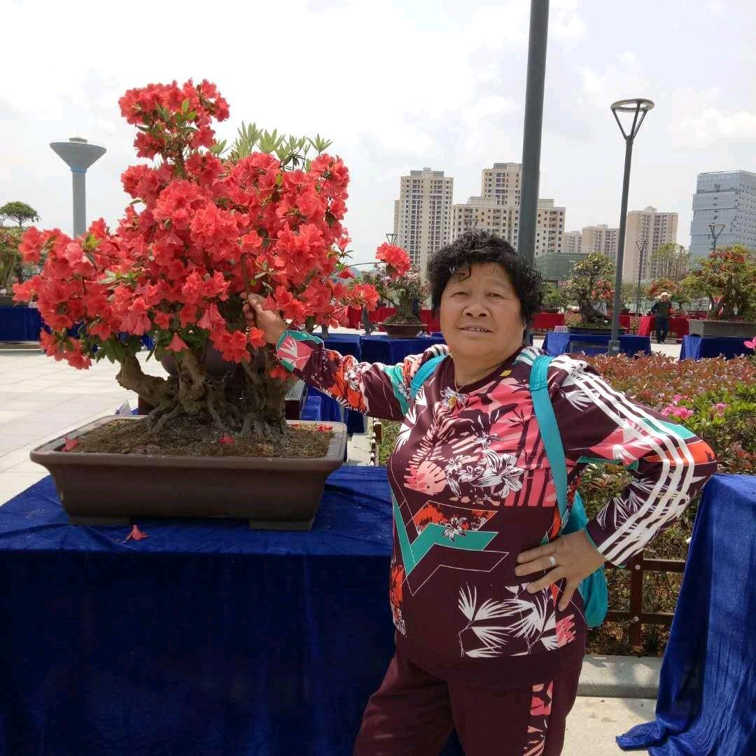 牟树芳