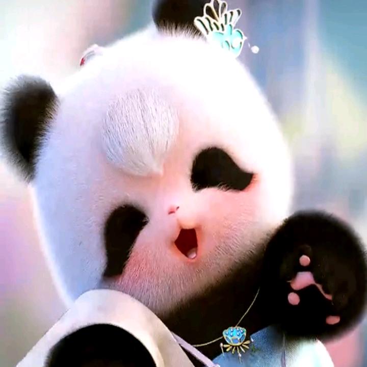 温暖的怀抱🌹🌹