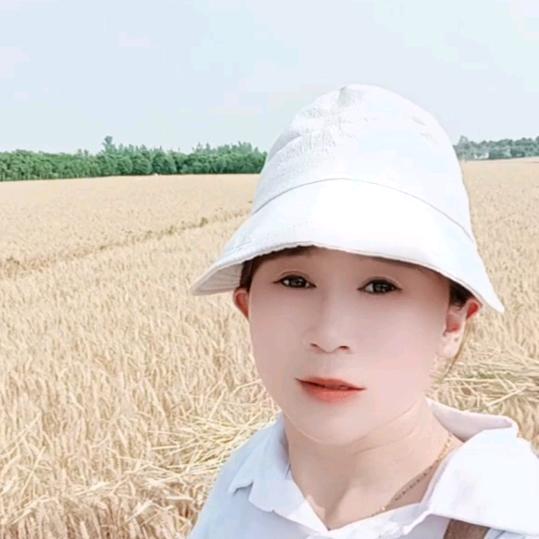 跨区收割机🌸红艳