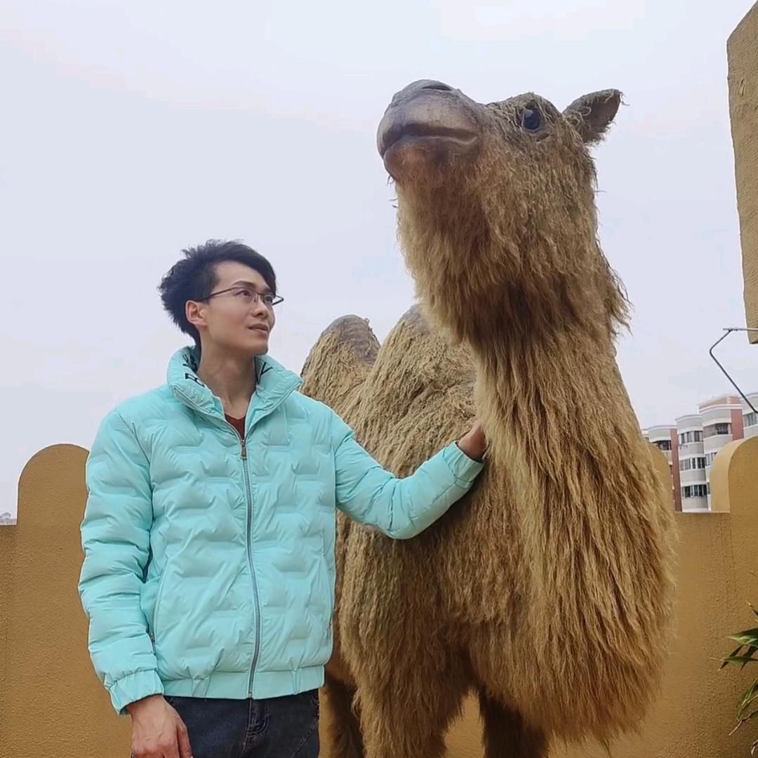 林哥²⁶⁸