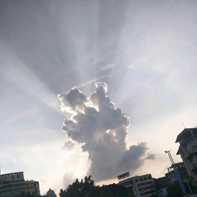 凉客(三角洲行动)