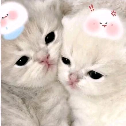 判京.悸婉姩👑