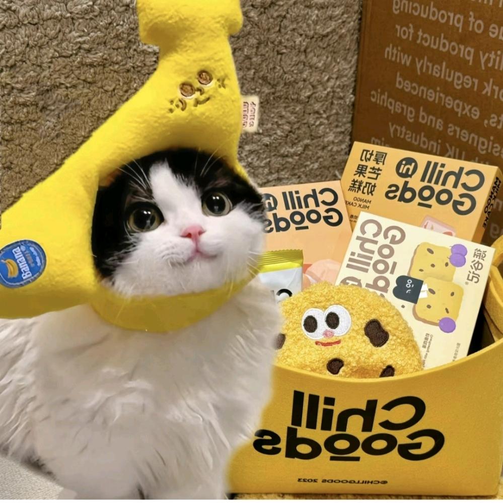 云师大小昊学长