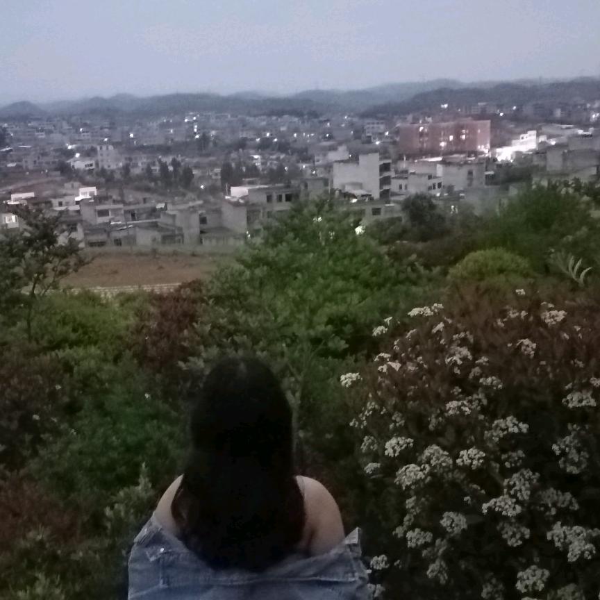 园林景观设计的猫