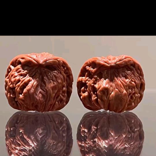 大表哥家小核桃