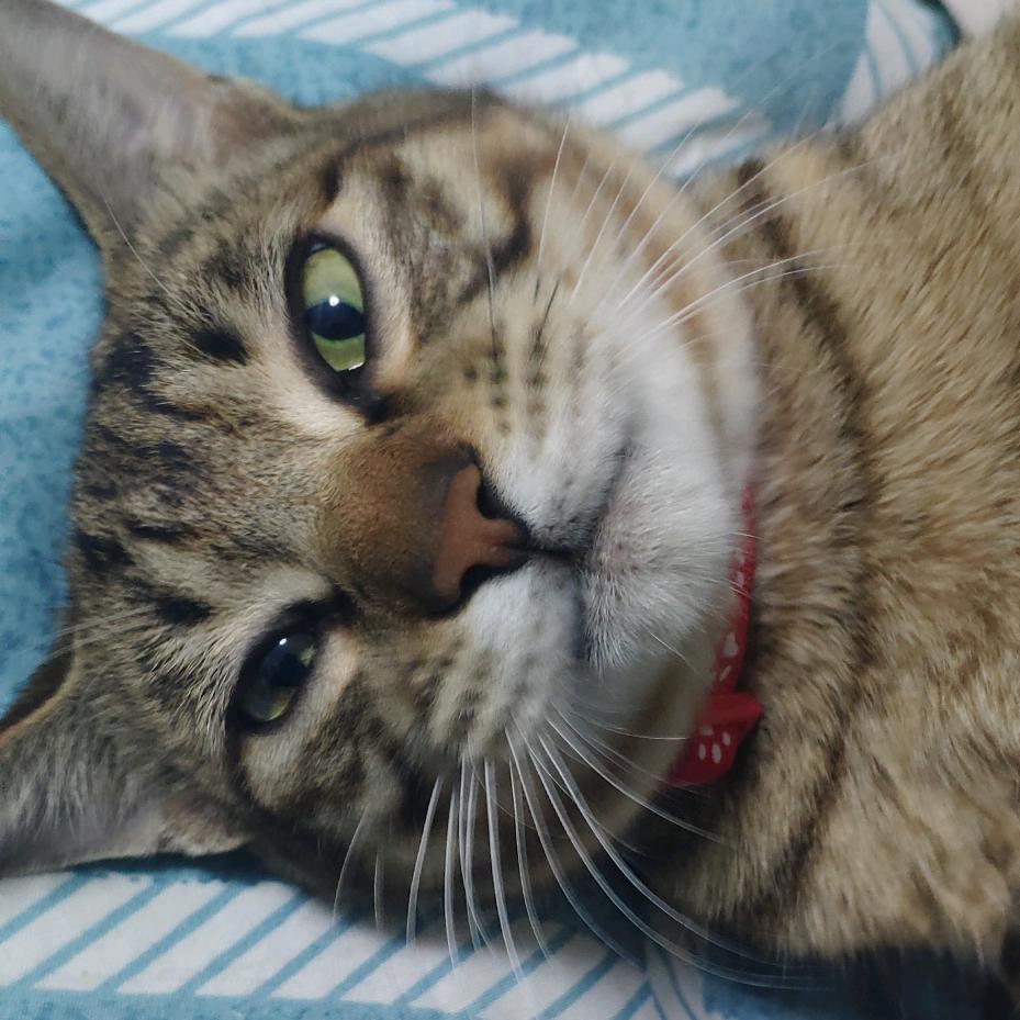你猜猜看