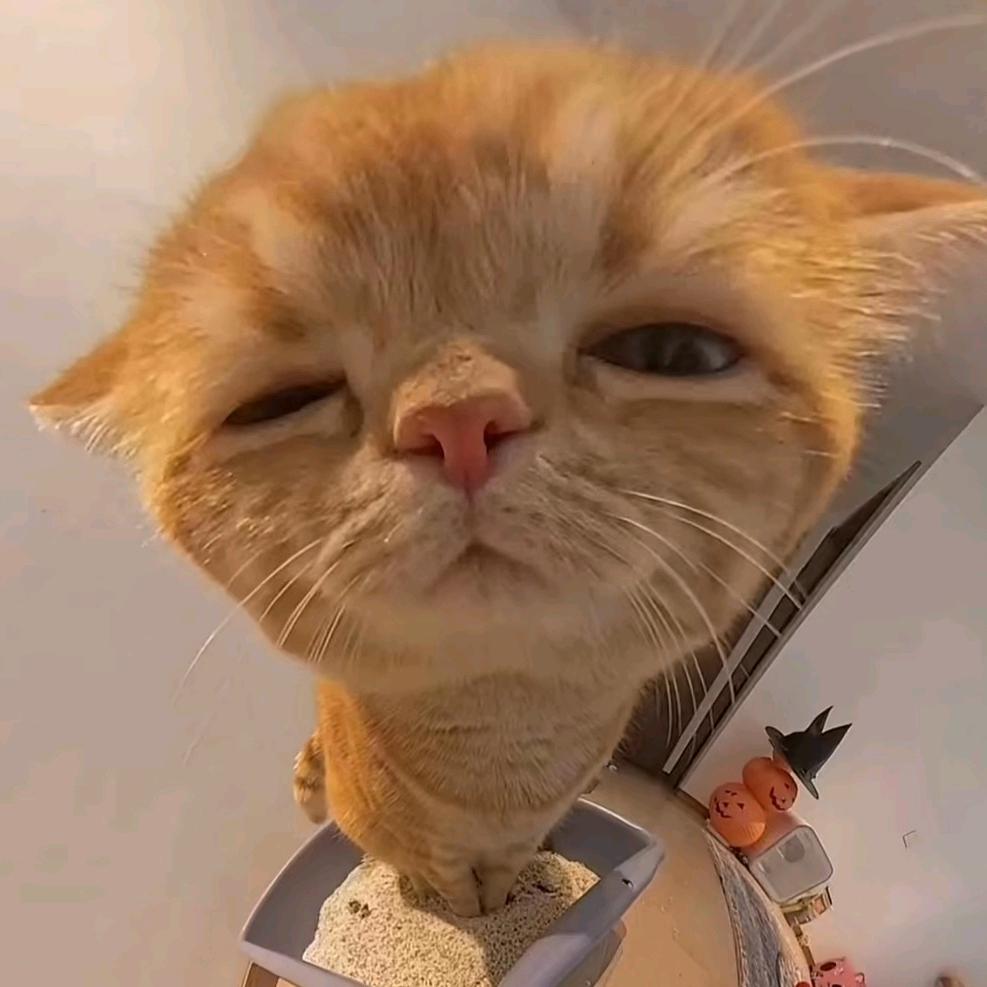 变态大王