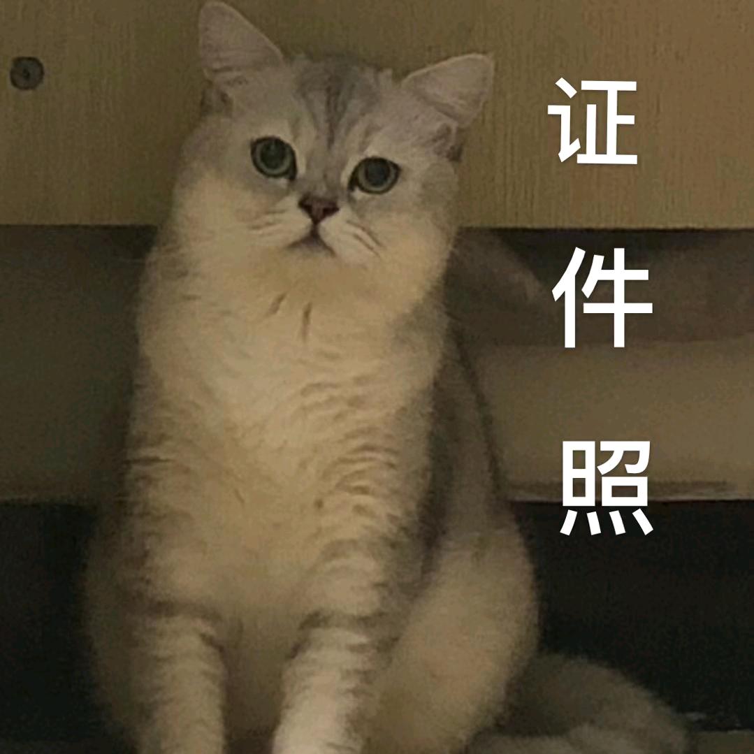 浩浩东阳电商优品铺子