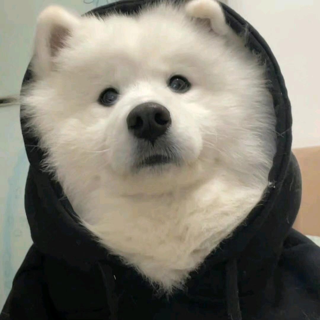 琉尘