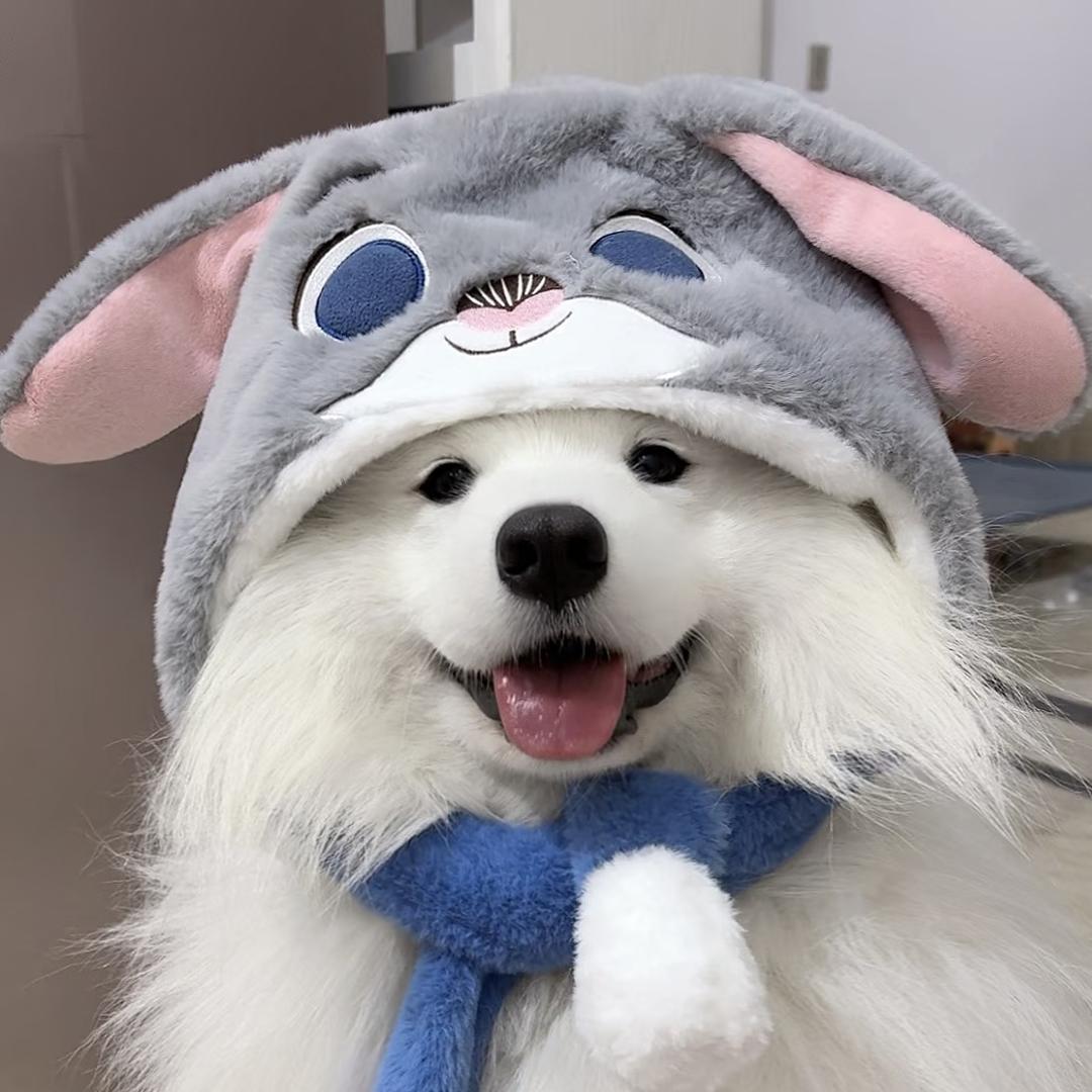白了个白呦