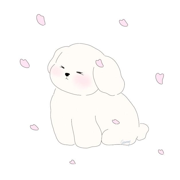 wei卫卫卫卫衣（见过露思版💞）