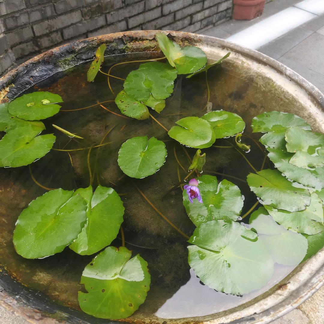 黎明前的黑暗@