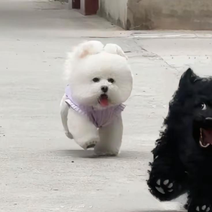 陈果果