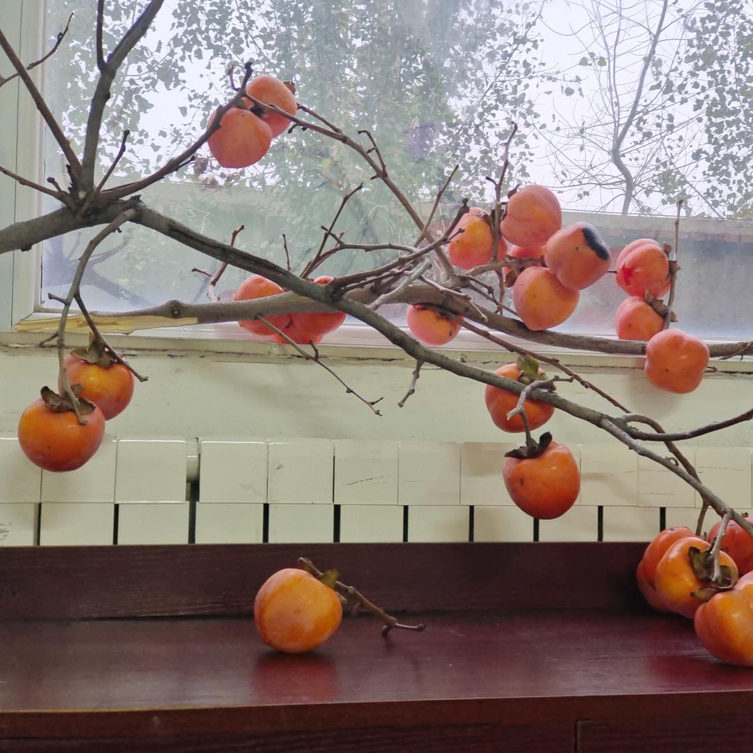 济宁中基农牧饲料厂家 小康（全国发货）