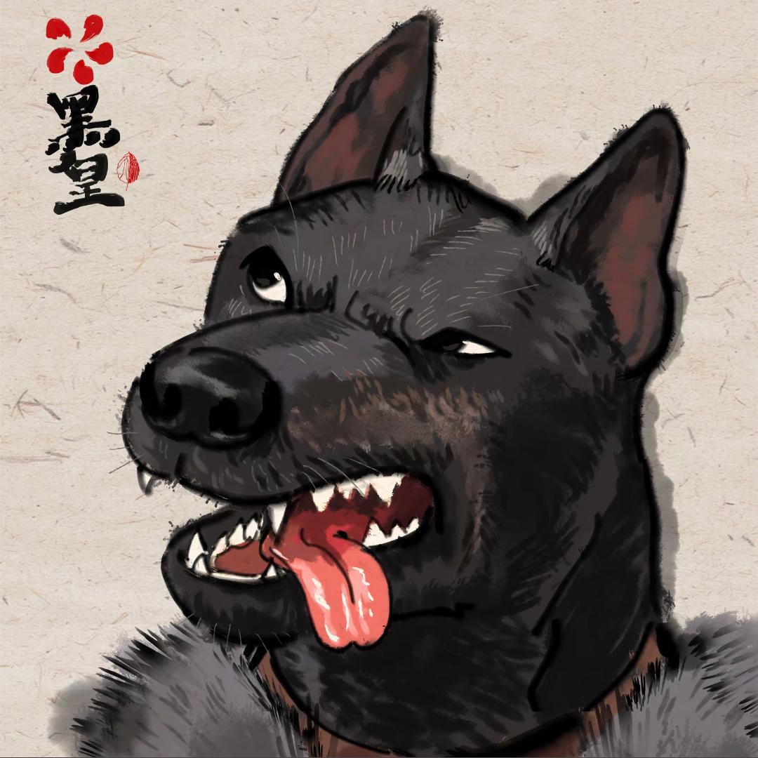 黑H
