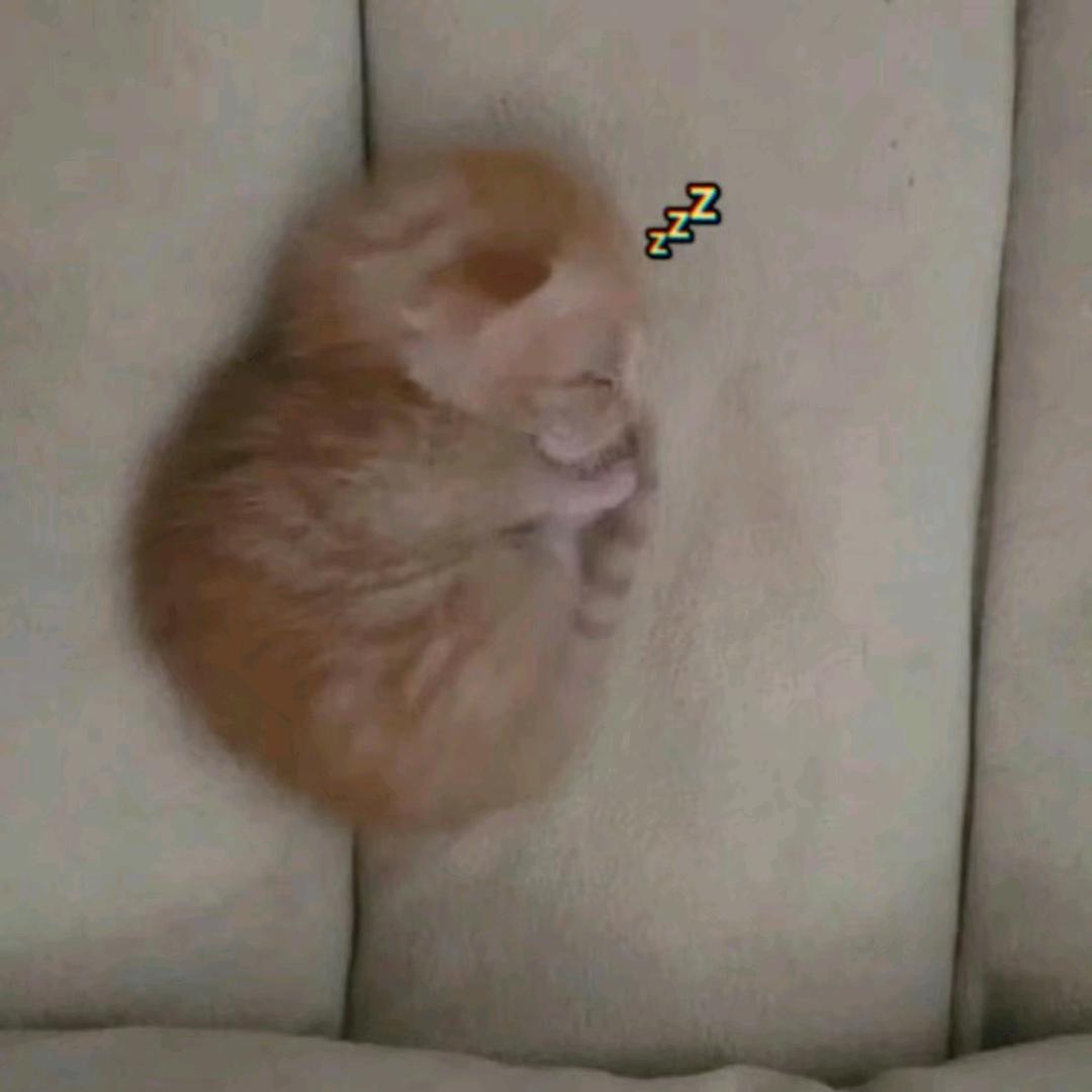 给你脸了