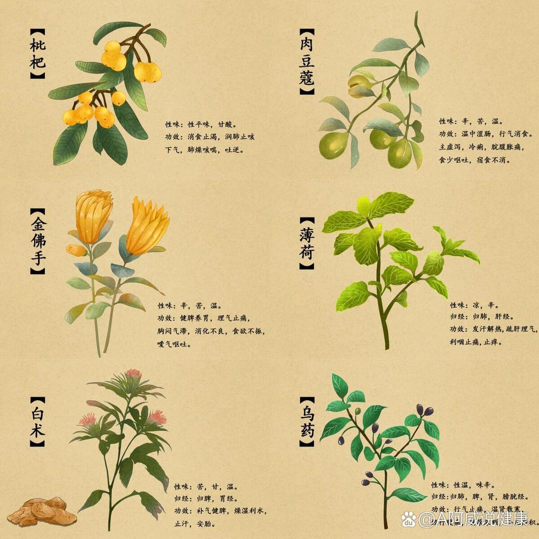 百草言