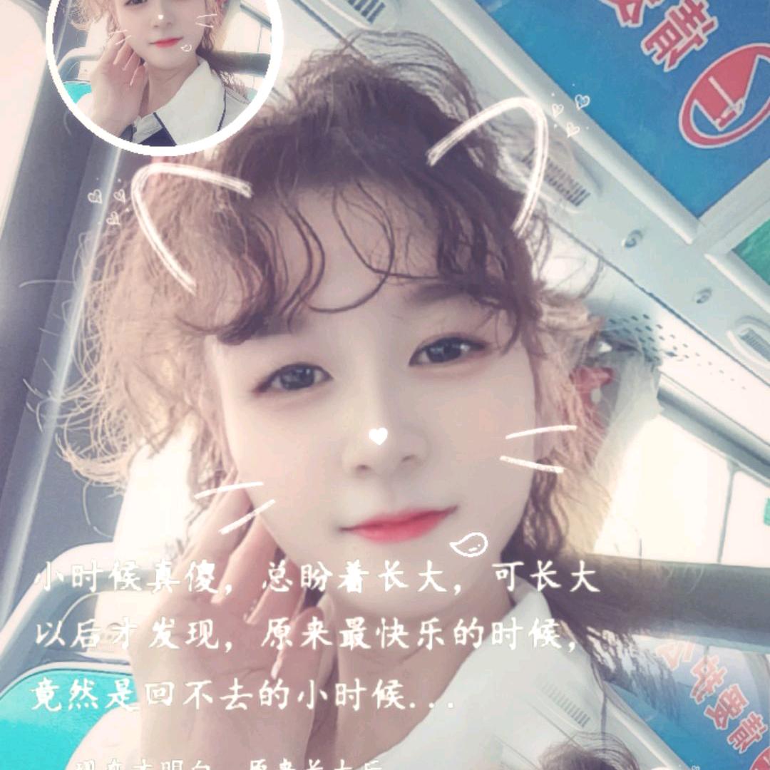 追逐的鱼