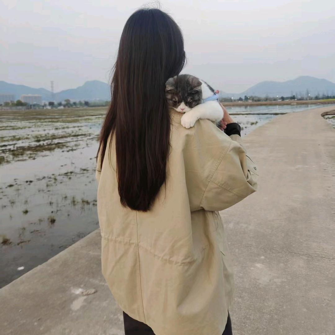 朋哥(吊车高空车租赁)