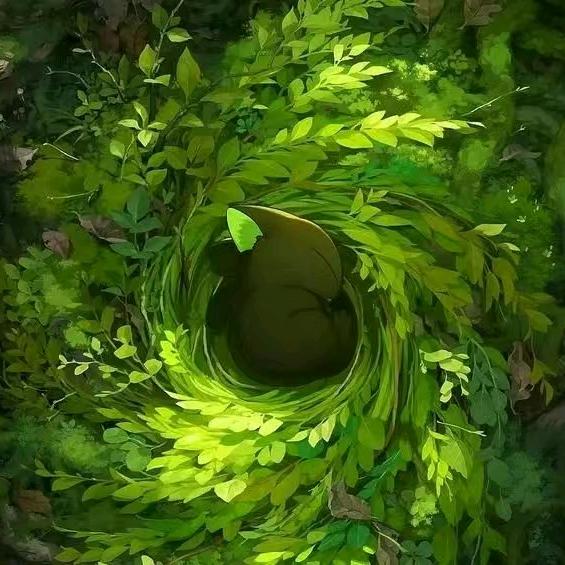 我的猫咪叫貂蝉