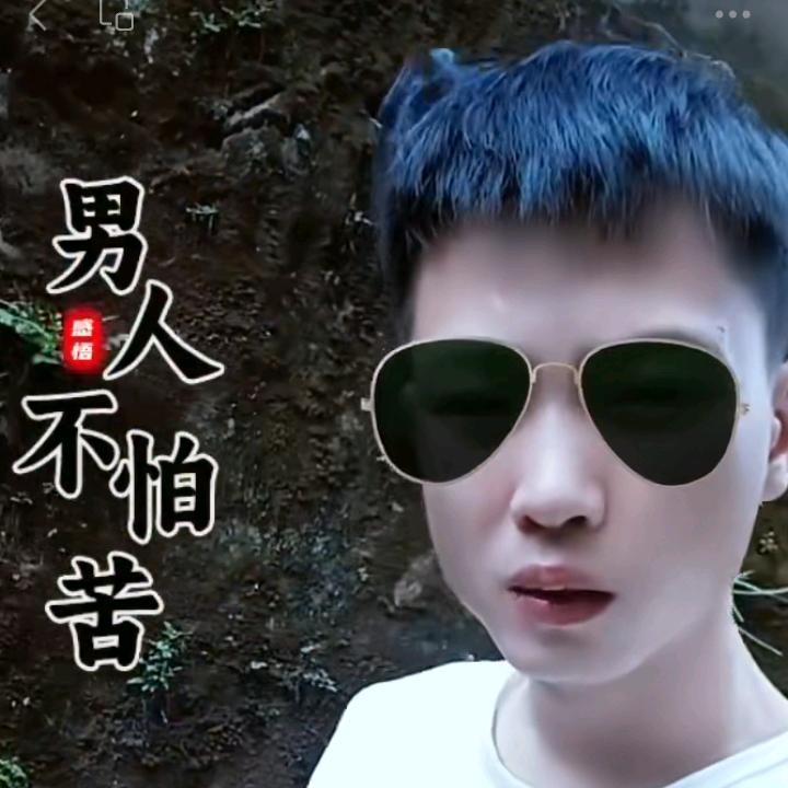 风中追风