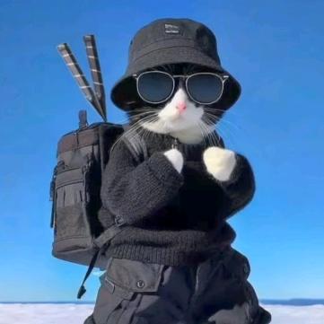 🌈彩虹猫