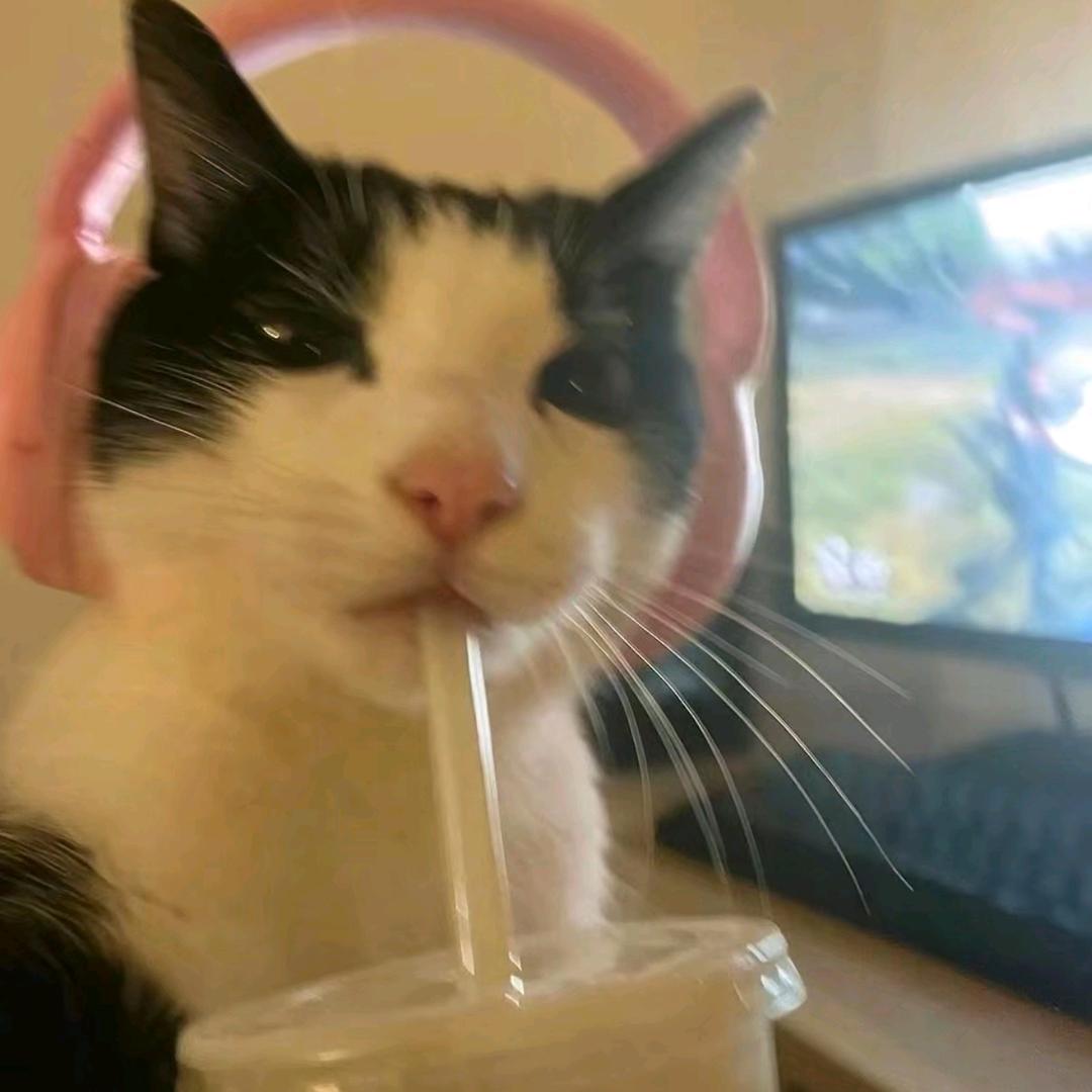 ヨシ