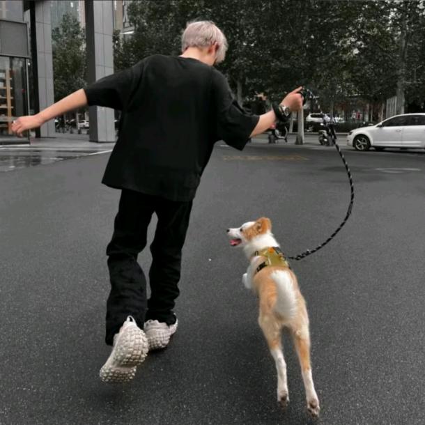折耳根