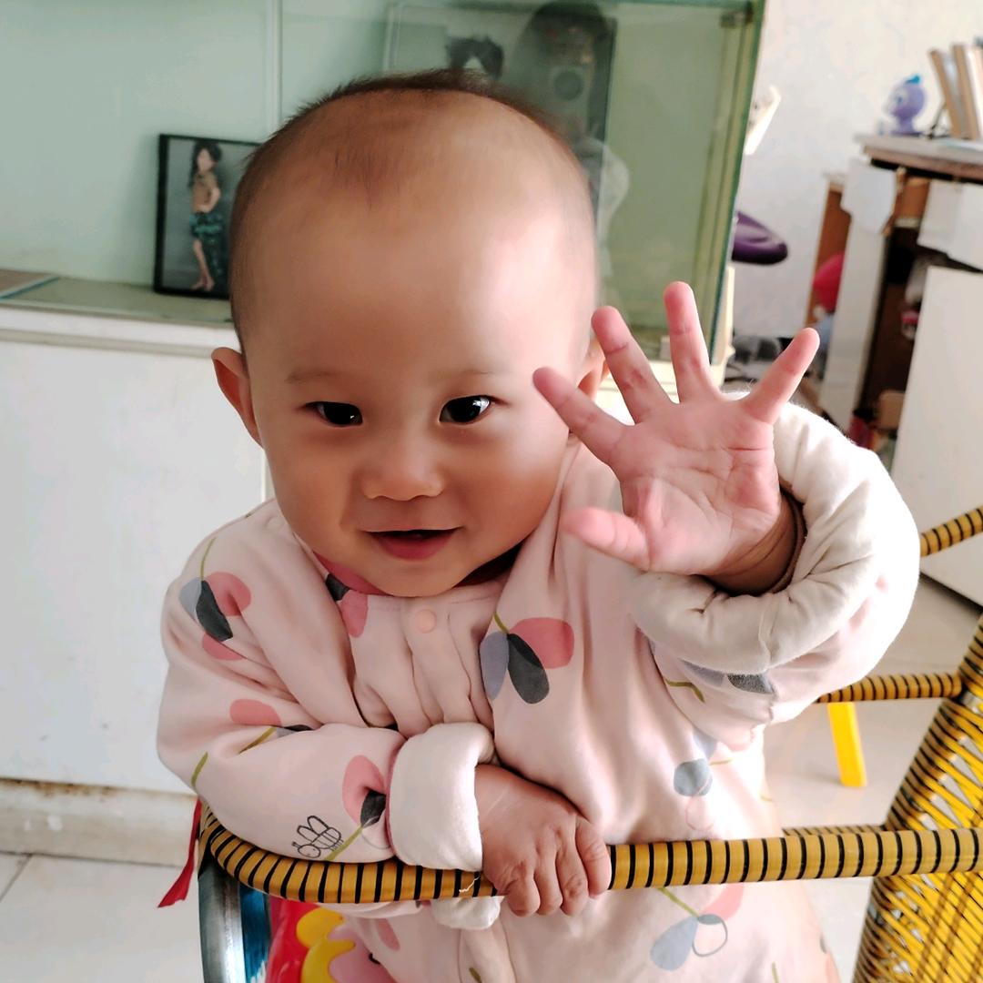 欣欣龙宝