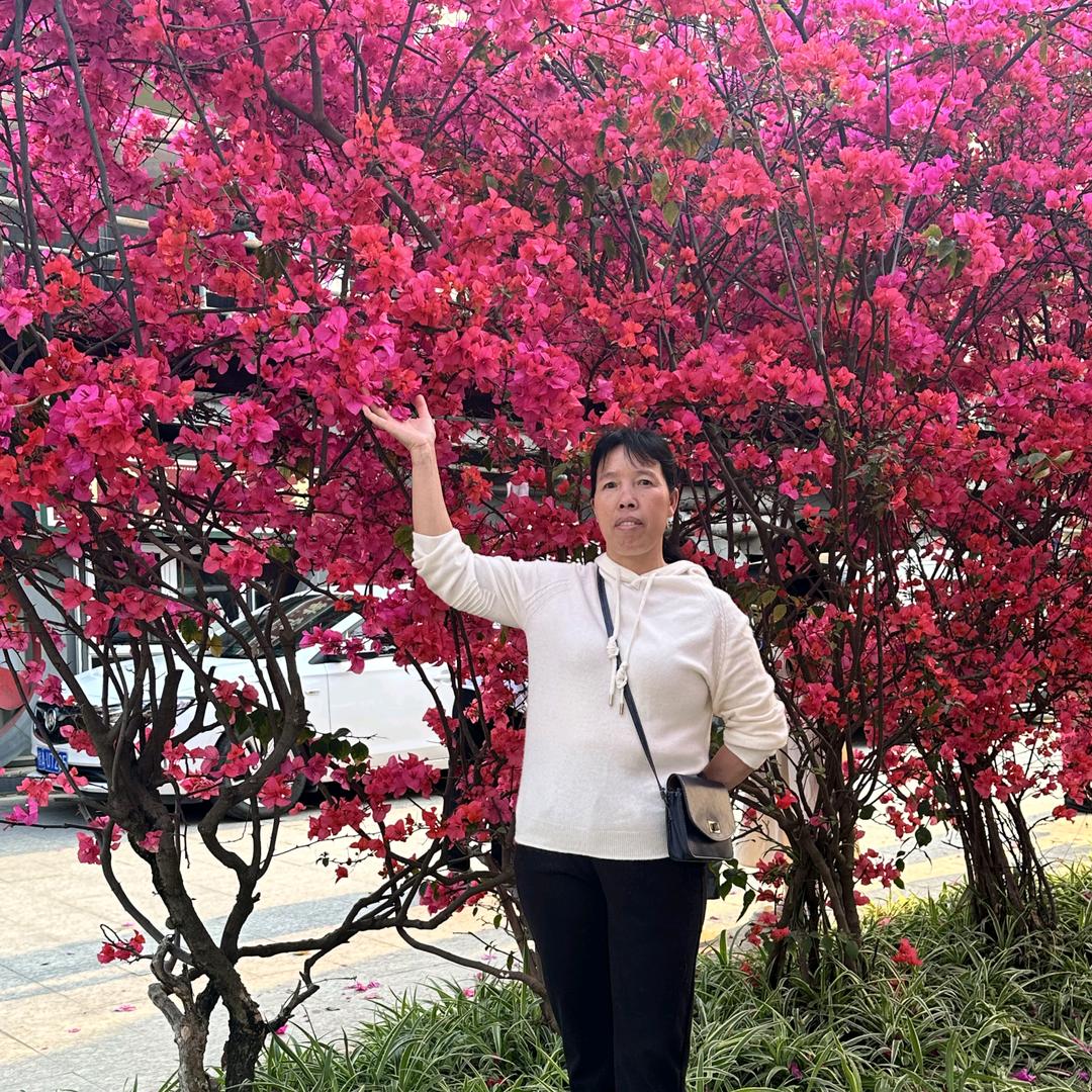 依意