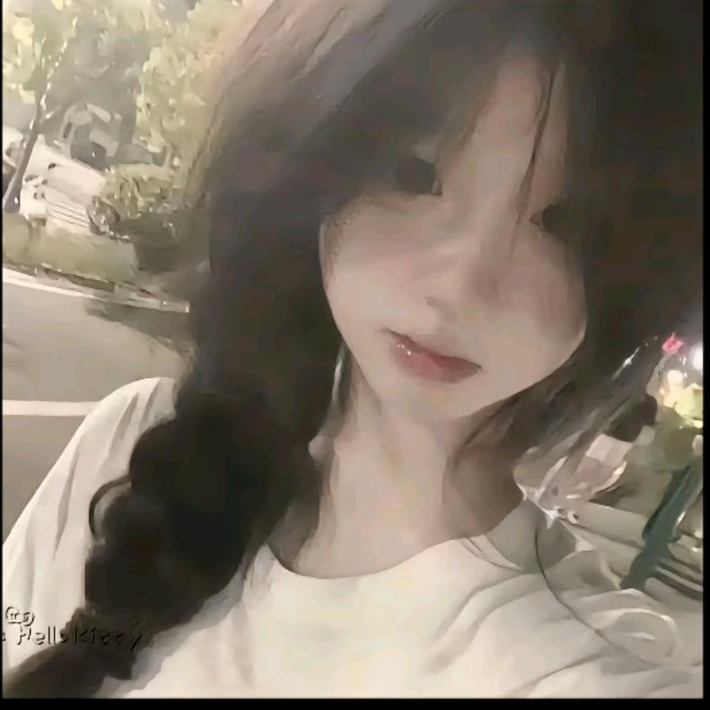 煤球是只猫
