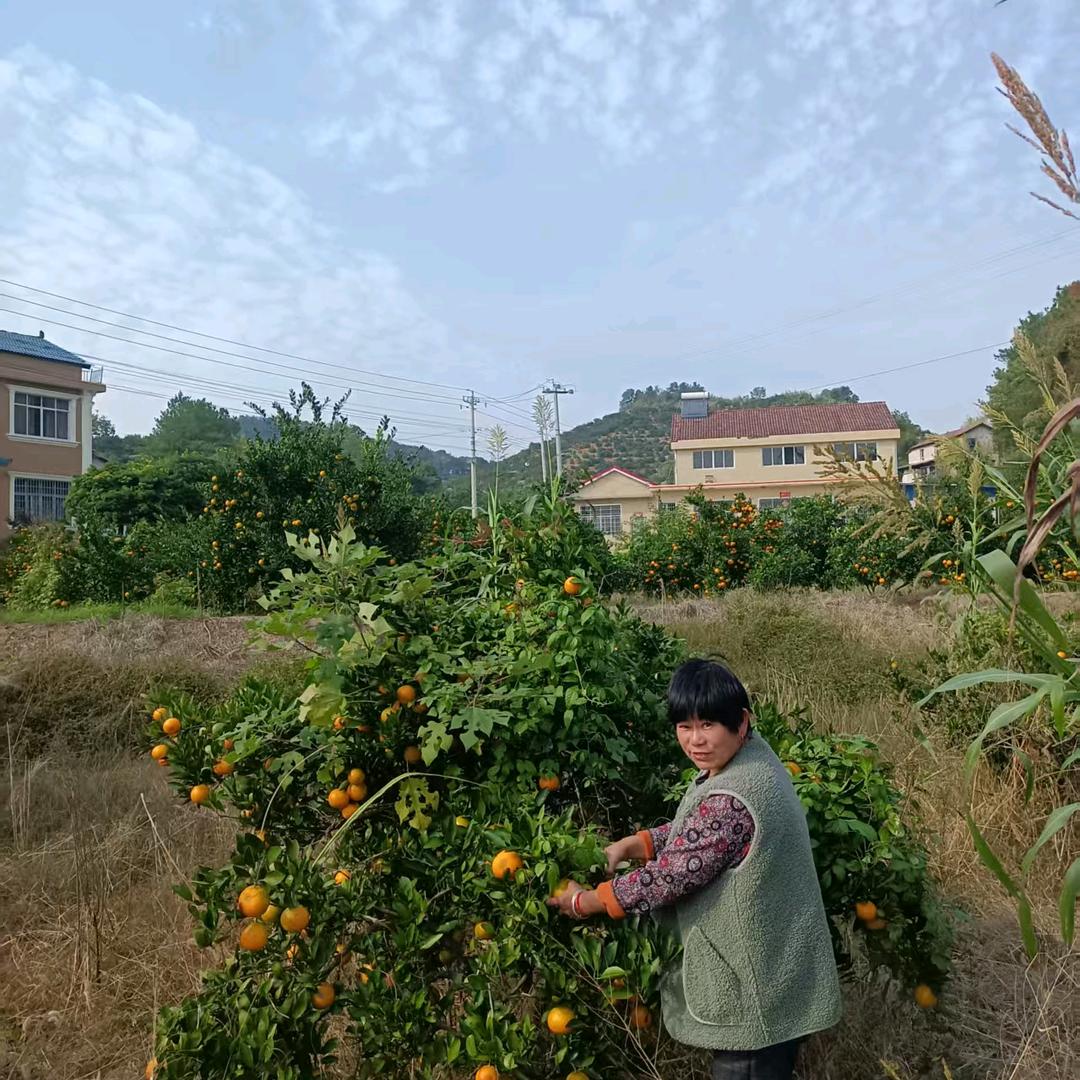幸福一家人王四姐