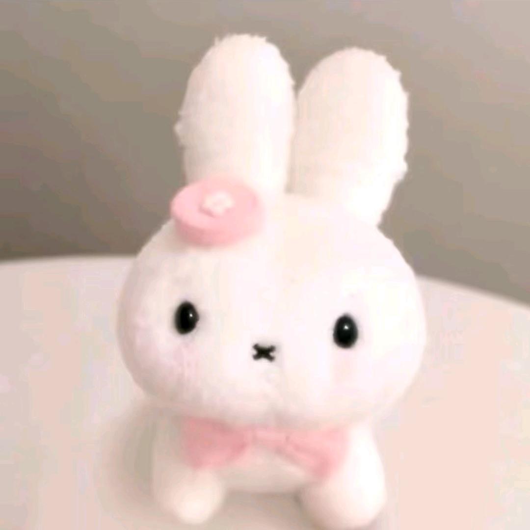 染染.