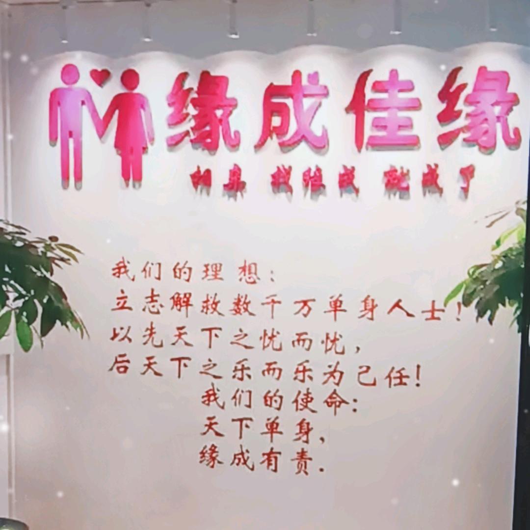 珠珠婚介