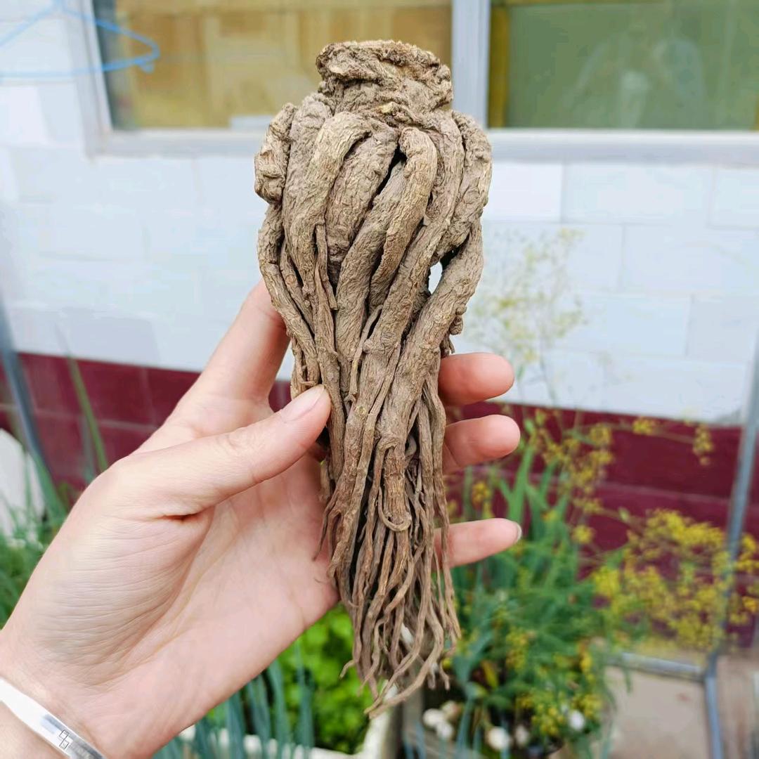 甘肃薯乡农产品