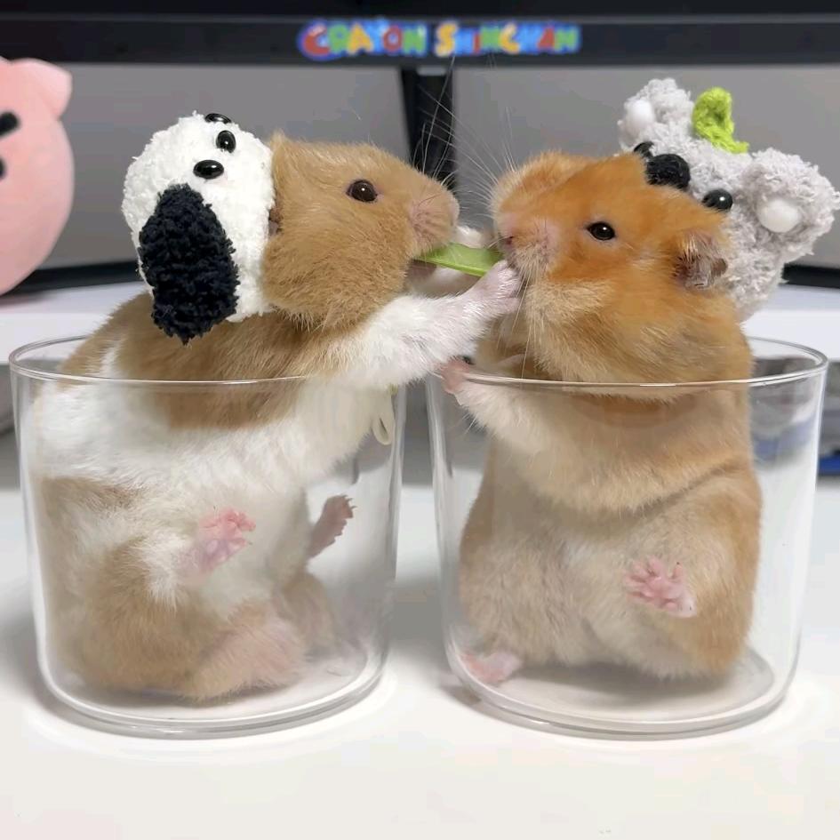 萧时