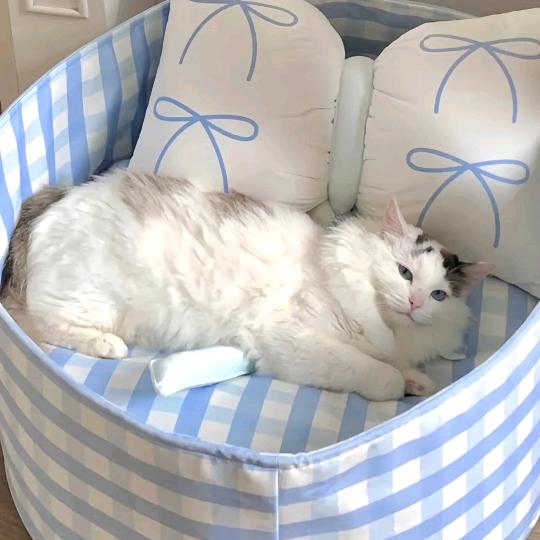 颅内未见明显异常