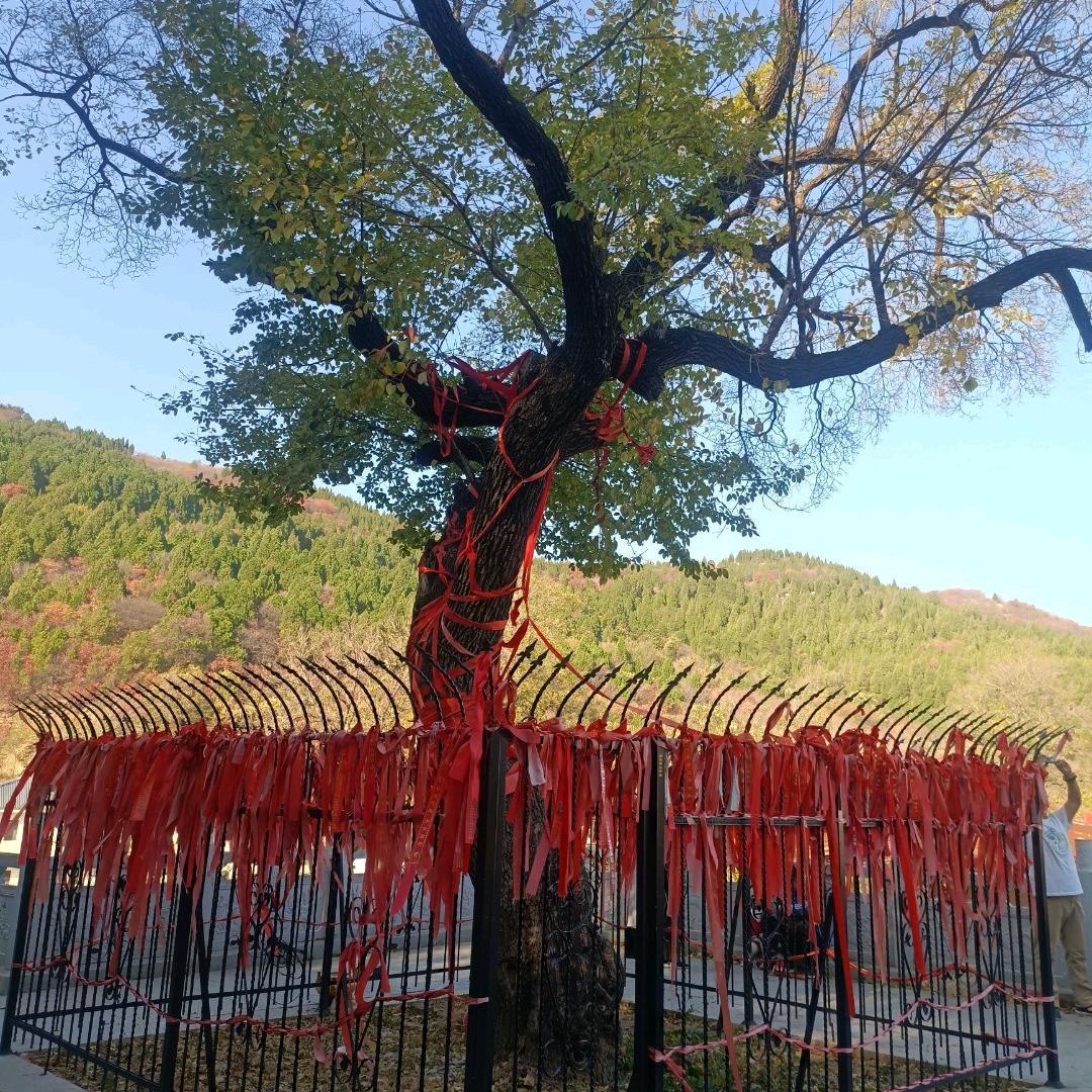 @越来越好，一切顺利