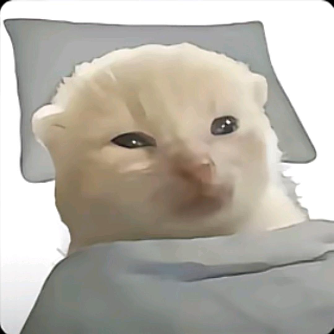 柯基