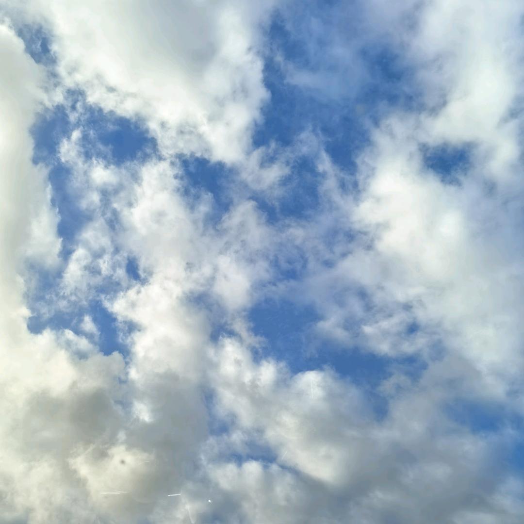 黄河优选