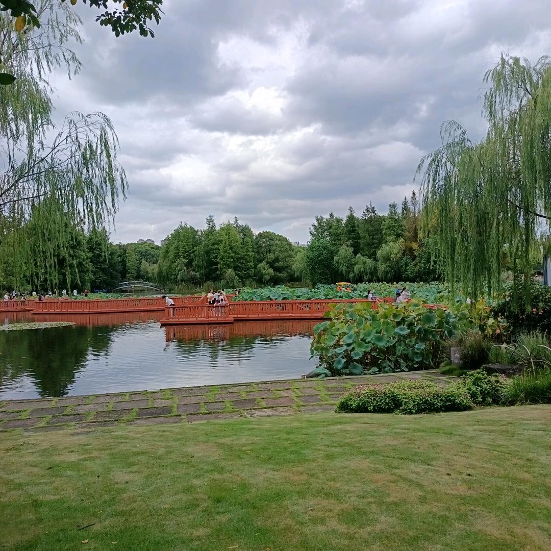 木先生的水世界