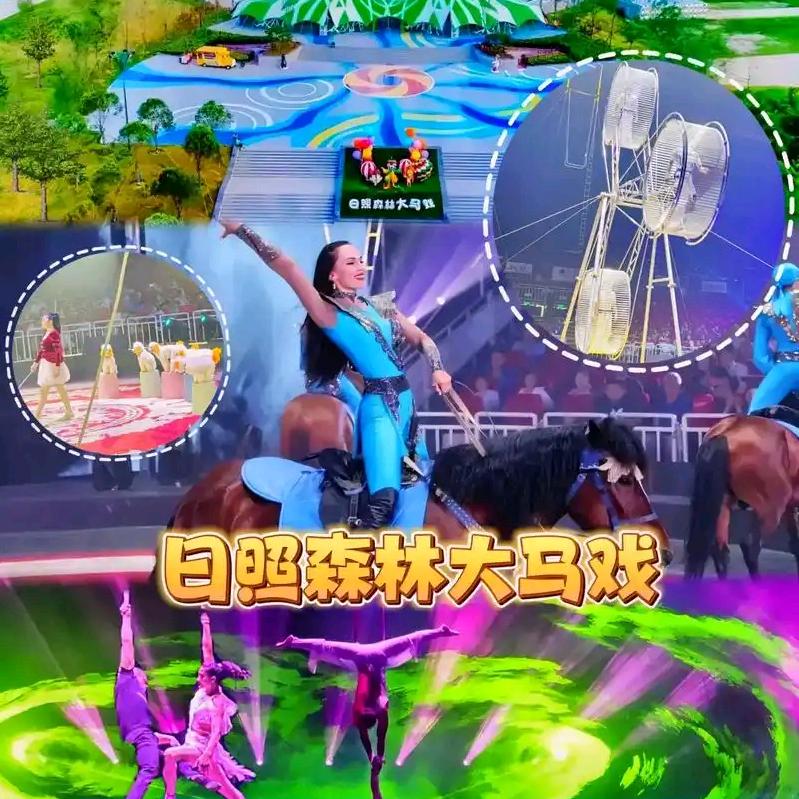 日照森林大马戏