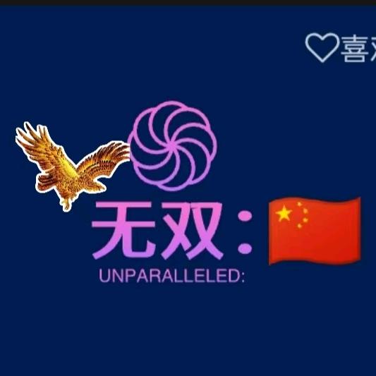 无双:🇨🇳