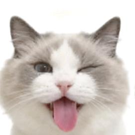 钟逸