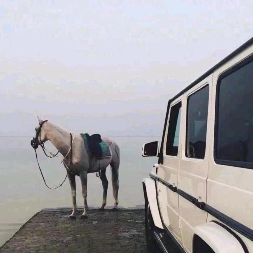 虍.