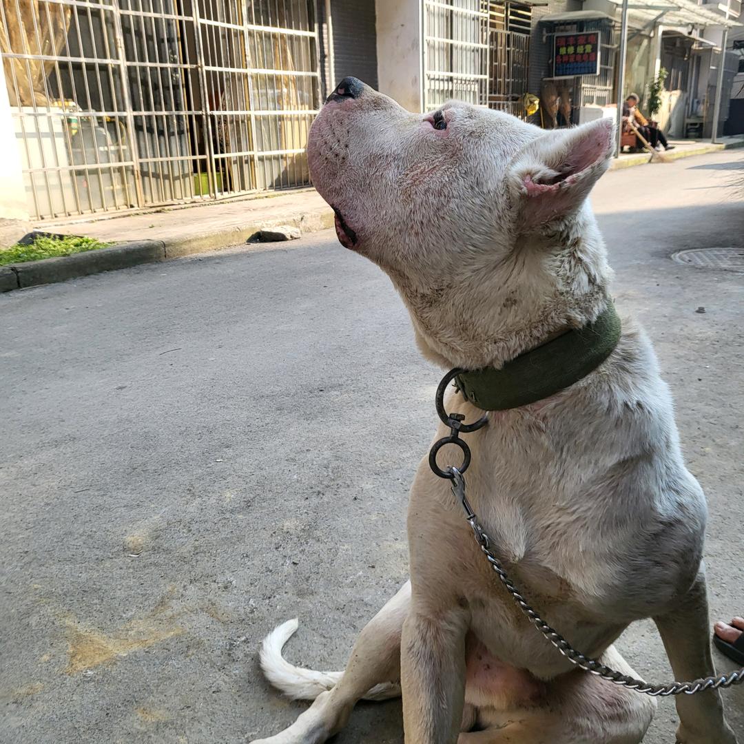 Ygy💖