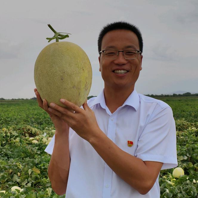 刘书记的甜弹头